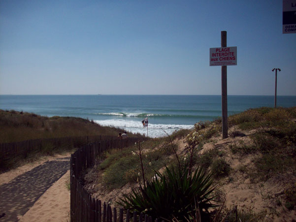 école de surf Koa La Tranche sur mer