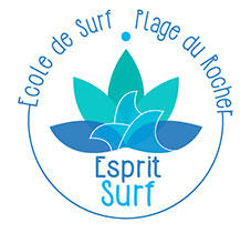 Esprit Surf école de surf en Vendée